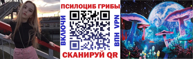 Псилоцибиновые грибы прущие грибы  Пестово 